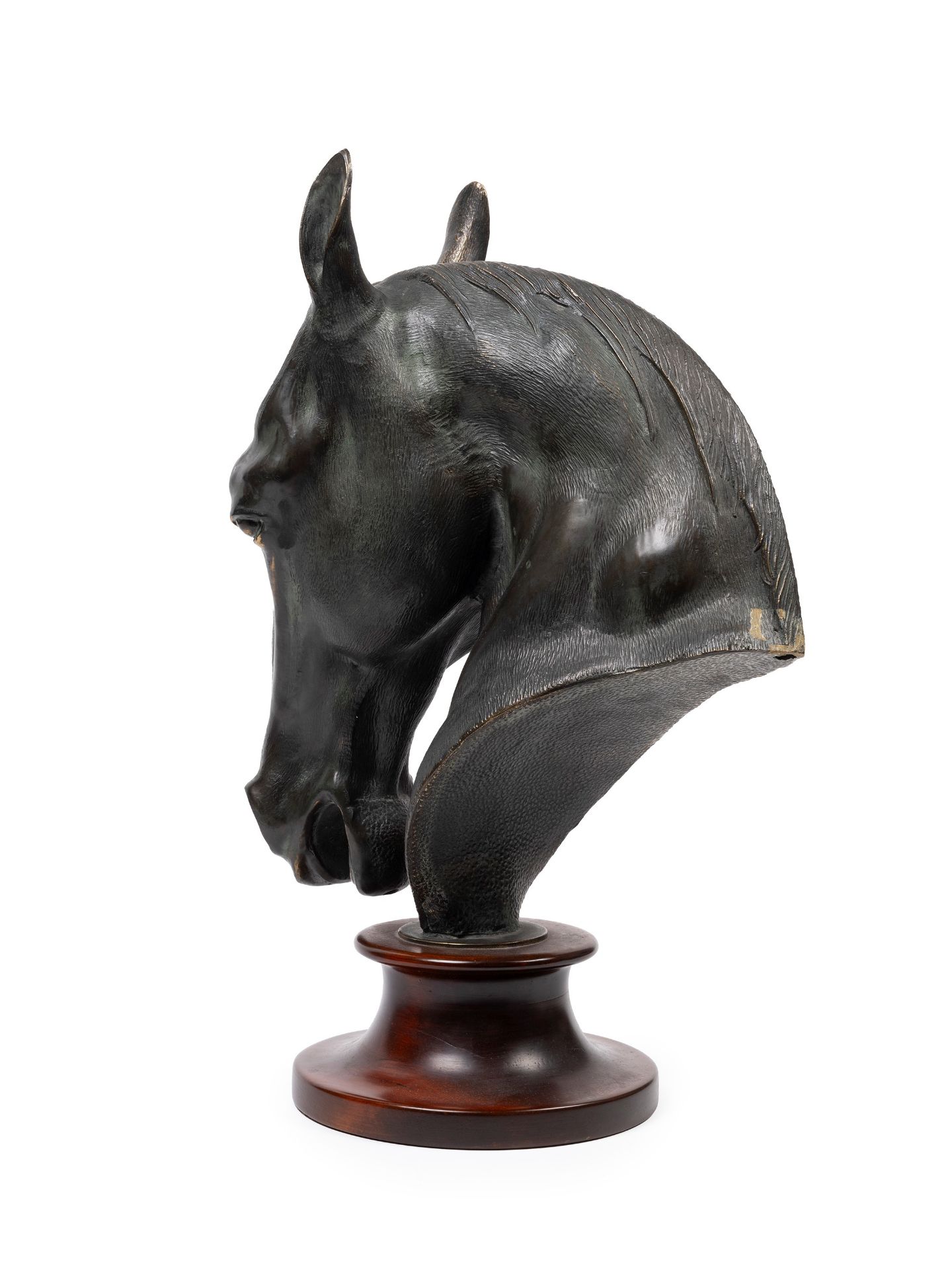 A BRONZE HORSE HEAD MODEL, 20th century - Bild 2 aus 2