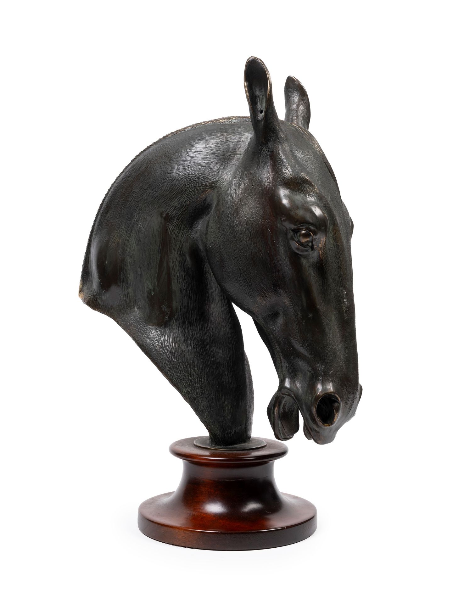 A BRONZE HORSE HEAD MODEL, 20th century