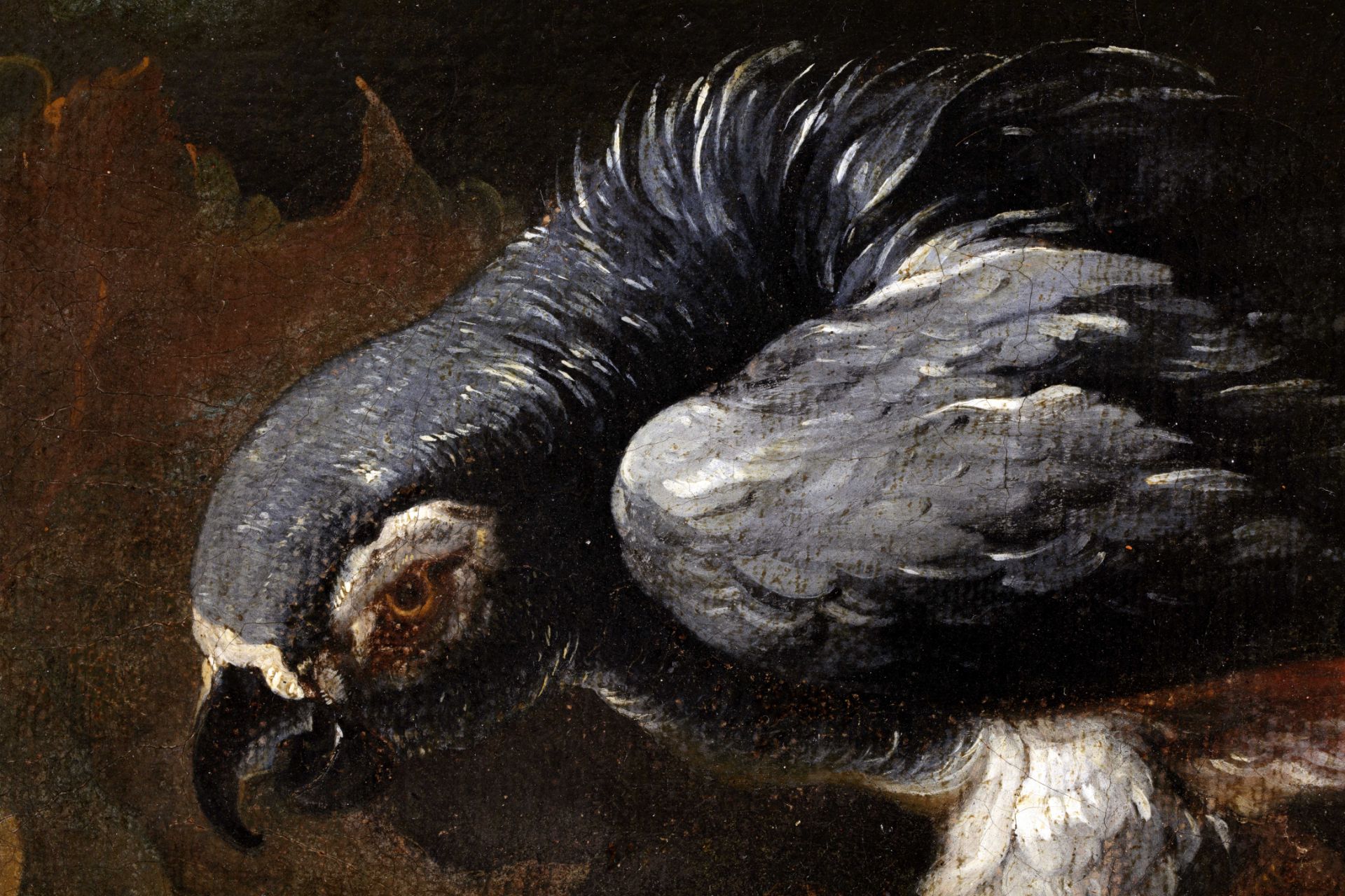 PAIR OF STILL LIFES WITH FRUIT AND ANIMALS, 17th century - Bild 10 aus 12