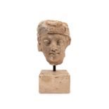 A GANDHARA HEAD IN STUCCO,