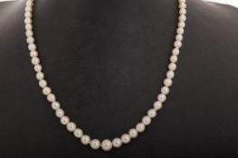 PEARL NECKLACE,