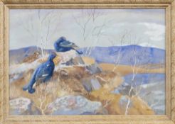 * RALSTON GUDGEON RSW (SCOTTISH 1910 - 1984), BLACK COCKS