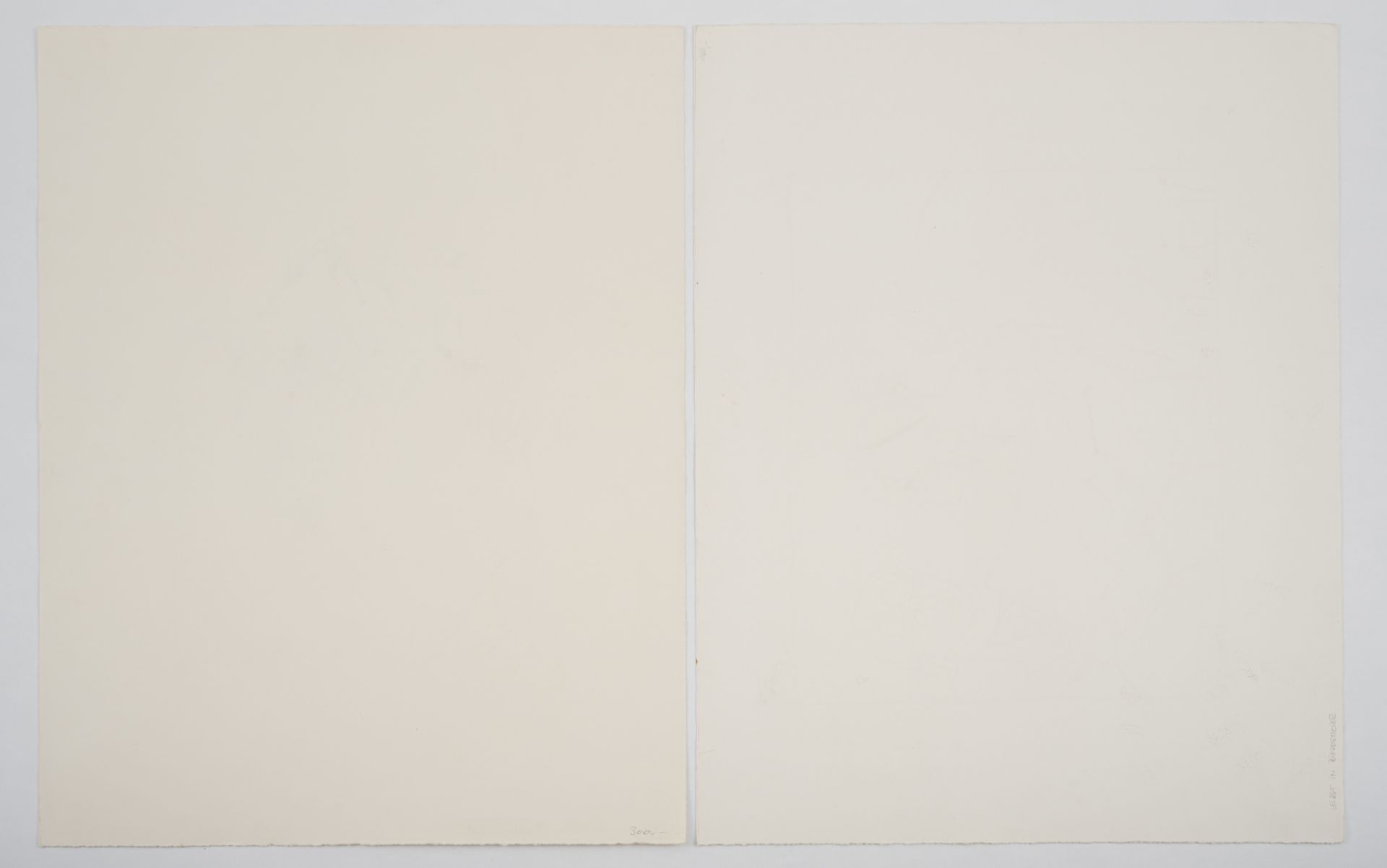 Janssen, Horst - Bild 7 aus 7