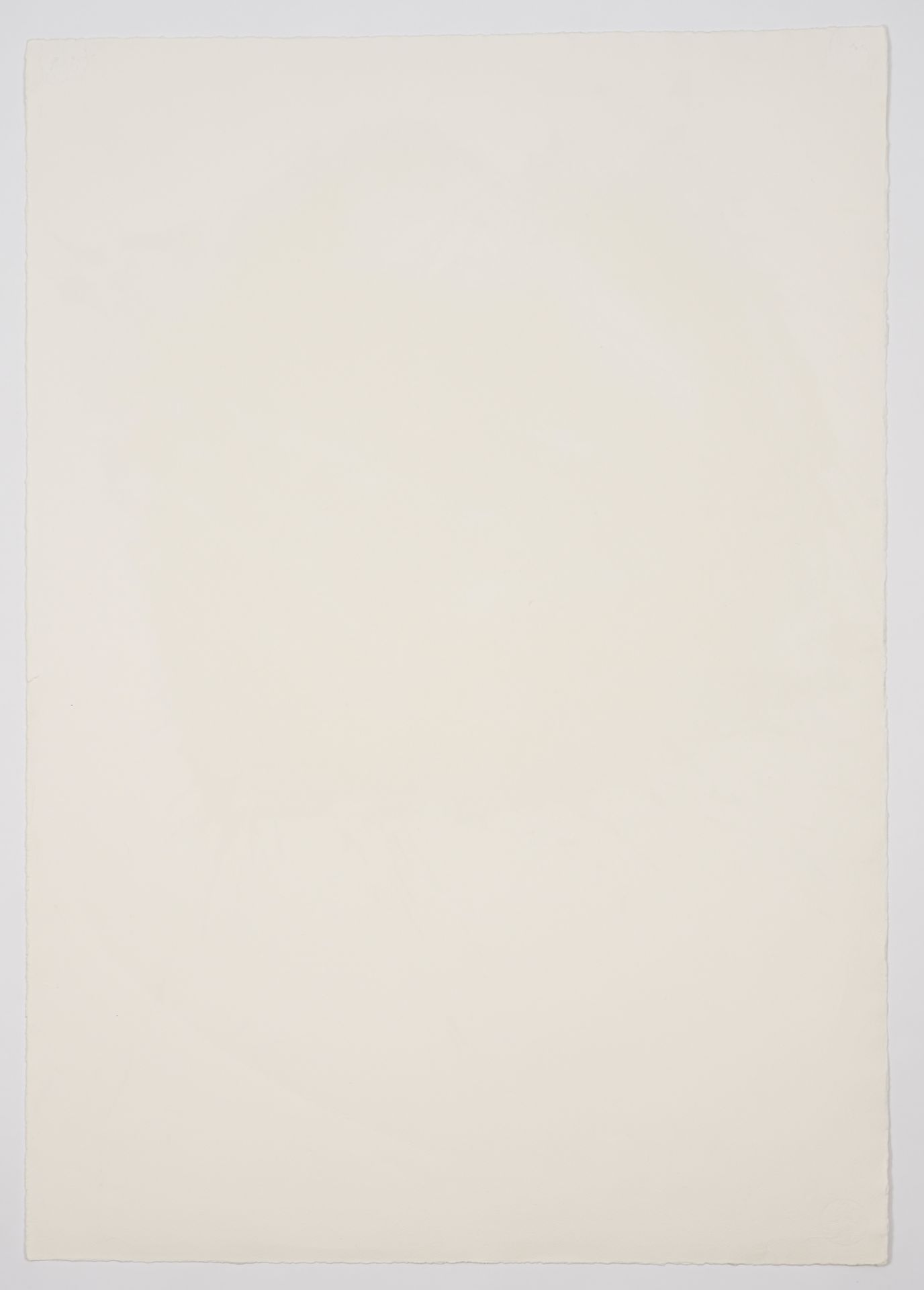 Volmer, Steffen - Bild 7 aus 9