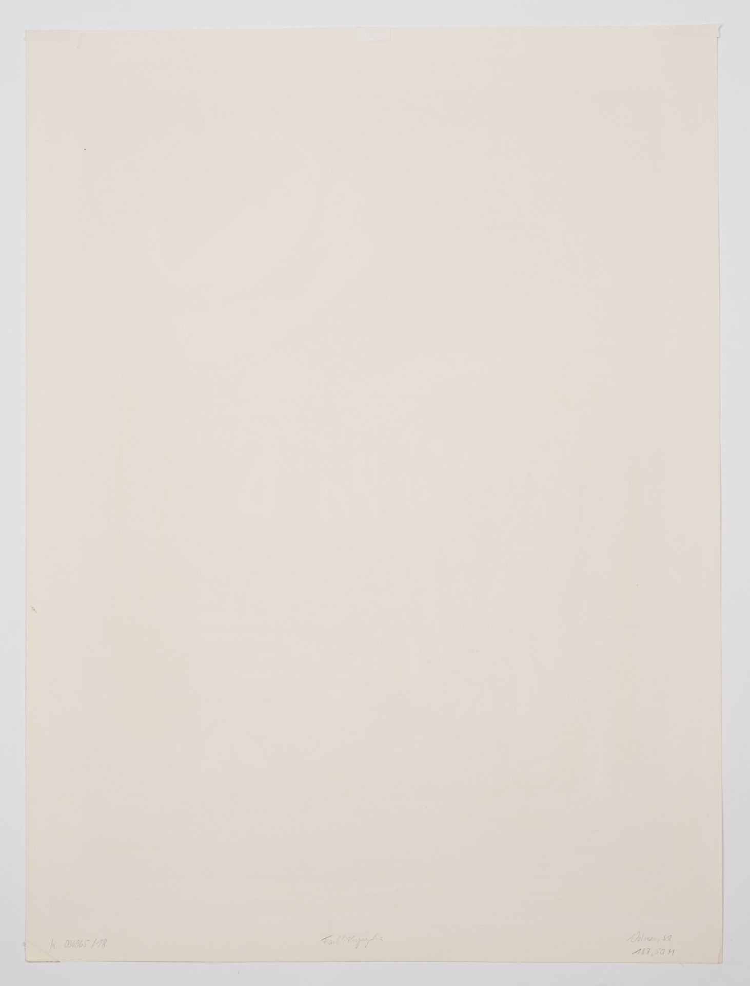 Volmer, Steffen - Bild 9 aus 9