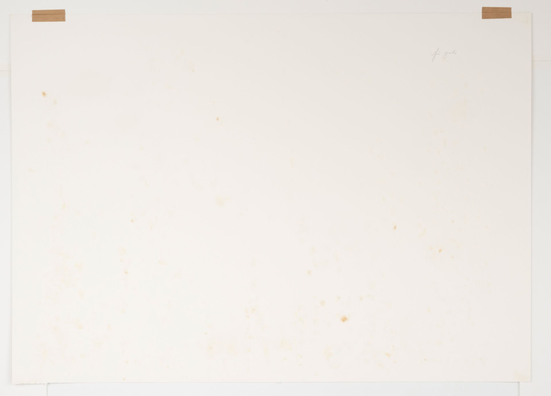 Sensen, Wil - Bild 3 aus 3