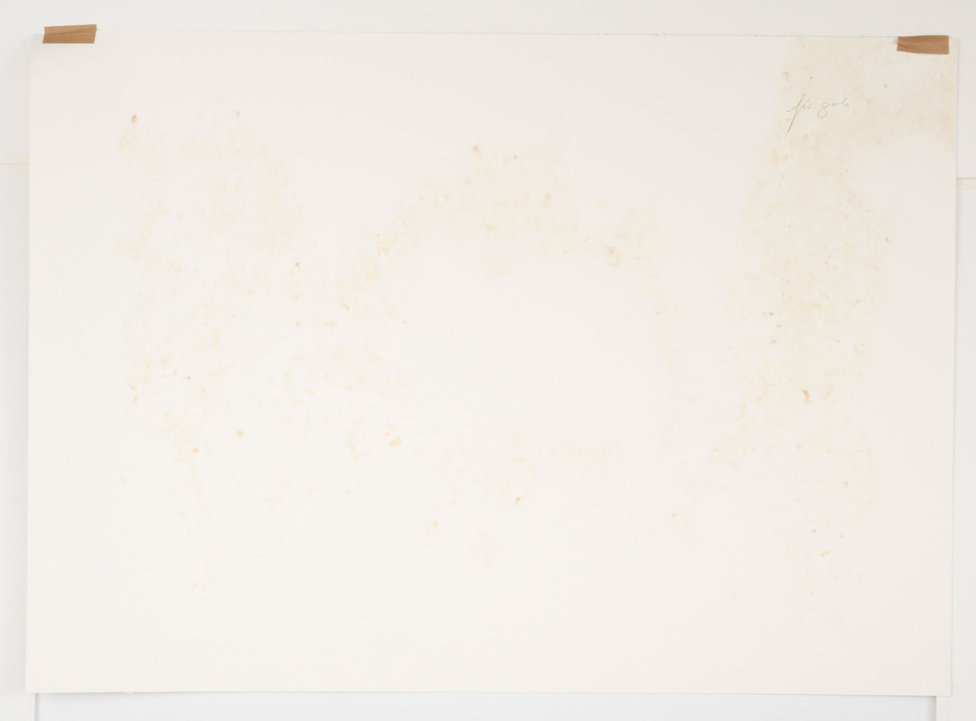 Sensen, Wil - Bild 3 aus 3