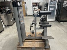 Everlast Back Extension Pin Loaded