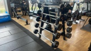 Force Barbells And Stand