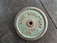 Pair Of 25kg Metal Weight Plates - No Reserve