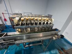 Newtec linear weigher