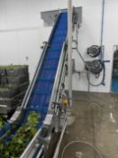 Infeed elevator + small infeed conveyor