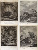 Ridinger, Johann Elias und Martin Elias