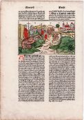 The Philistines struck by the plague - Kölner bible, 1479