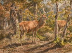 Fine Paintings, Frames and Fine Art Books Sale