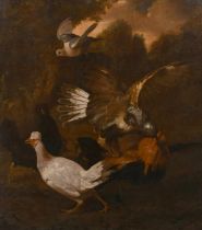 Circle of Melchior d'Hondecoeter (1636-1695) Dutch. Wild Birds, Oil on canvas, 50" x 43.75" (127 x