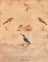 John Edward Ormes (1809-1863) British. Study of Birds, Watercolour and ink, Inscribed and dated