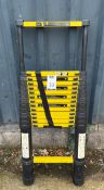 Pair of Telescopic Ladders Capacity 150kg (Location: Brentwood. Please Refer to General Notes)