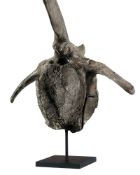 Vertèbre de dinosaure Edmontosaurus sp., USA (Hell Creek Formation, Montana), Crétacé (66 millions d