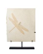 Libellule fossilisée Aeschogomphus buchi, Allemagne (Solnhofen), Jurassique (150 millions d'années),