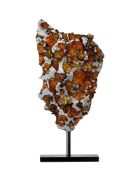 Météorite Imilac, "Le Coeur d'une planète", avec socle sur mesure, 44 g., h. 12 cm Les pallasites