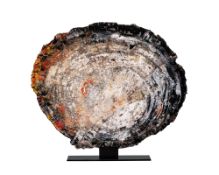 Grande tranche de bois pétrifié, USA (Arizona), Trias (225 millions d'années), avec socle sur mesure