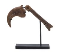 Griffe d'Anzu wyliei (espèce de type raptor), USA (Hell Creek Formation, Montana), Crétacé (70-66 mi