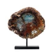 Tranche de bois fossilisé "Colla Wood", Turquie, Éocène (55 millions d'années), avec socle sur mesur