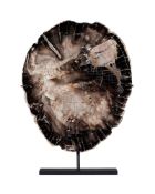 Tranche de bois fossilisé, Swartz Canyon, USA (Oregon), Miocène, (20-10 millions d'années), avec soc