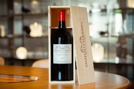 1 double-Magnum de Château de Ferrand Millésime 2019, Grand Cru Classé de Saint-Émilion Lot off