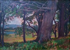 Bock, Karl (1873 Braunschweig – 1940 Stralsund) „Uferlandschaft auf der Insel Vilm“