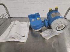 Endress & Hauser mass flow sensor