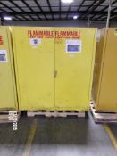 DOUBLE 55 GAL. DRUM FIRE CABINET