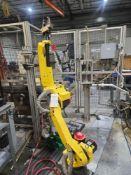 2013 GOSIGER AUTOMATION ROBOTIC WORK CELL, FANUC M-10IA ROBOT