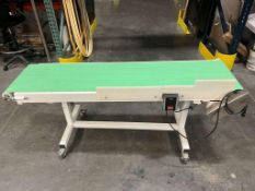 FOOD MANUFACTURING CONVEYOR BELT