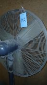 PEDESTAL FAN