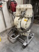 Diaphragm Pump
