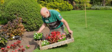 50x Wooden Potato chitting trays - W 760 x D 460 x H 160mm