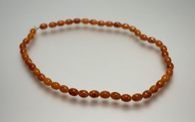 A necklace of forty seven honey coloured amber style beads with lobster claw fastening: l. x 43cm