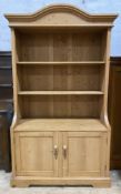 An early 20th century pine bookcase cabinet, arched moulded cornice with two fixed shelves to front,