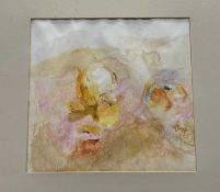 Moira Maitland (Scottish 1936-2004), Fruits, watercolour, unsigned, titled verso, in a glazed frame.