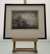 Walker (20thc School), Forest at Night, etching, signed and dated 1982 bottom right, in a glazed