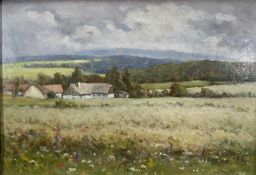 20th Century Continental School oil on board - Czech landscape, signed and dated ‘95, label verso, 2