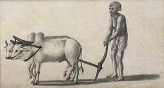 19th century Indian school pencil - plough team, 8cm x 15cm, in glazed frame