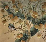 Yu Ruirong (Contemporary) watercolour, 'Persimmon implies happiness', 36 x 43cm, Chapell Galleries l