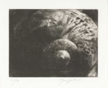 ‡ JOHN MACFARLANE (b. 1948) limited edition (artist proof) drypoint - entitled verso 'Shell' on