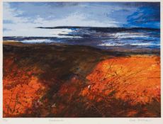 ‡ ROSS LOVEDAY (b.1946) limited edition (10/75) screen print - entitled 'Headland', fully signed, 47