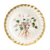 DERBY BOTANICAL DESSERT PLATE, painted with a titled specimen of Geranium Richardi (Dwarf Geranium),