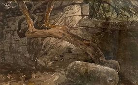 WILLIAM HOLMES MAY RE (1839-1920) watercolour - untitled, tree form and wall, labelled, 14 x 23cms