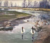 MAVIS BLACKBURN (1923-2005) oil on board - 'Martinmere', signed, 49 x 60cms Comments: framed